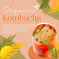 Probiotic Kombucha Instagram Post Design