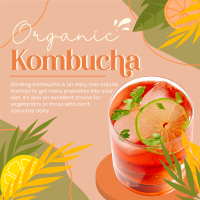 Probiotic Kombucha Instagram post Image Preview