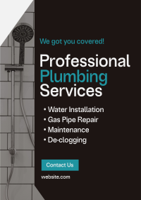 Professional Plumbing Service Poster Image Preview