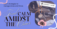 Find Calm Podcast Facebook ad Image Preview