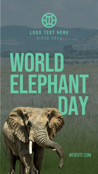 World Elephant Day Facebook story Image Preview