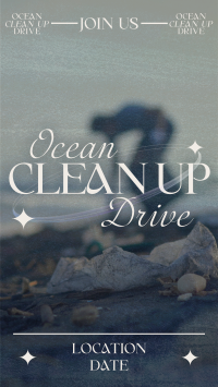 Y2K Ocean Clean Up TikTok Video Image Preview