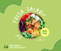 Fresh Salad Delivery Facebook post Image Preview