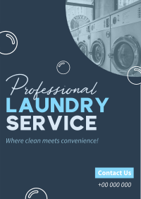 Professional Laundry Service Flyer Design