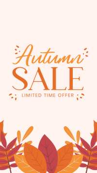 Autumn Limited Offer Facebook story Image Preview