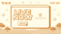 Pixel Livestreamer Video Image Preview