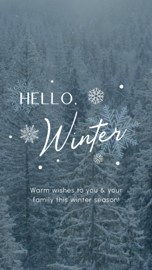 Minimalist Winter Greeting Instagram story Image Preview