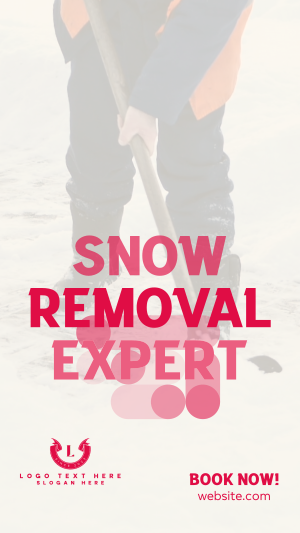 Snow Removal Expert Instagram story Image Preview