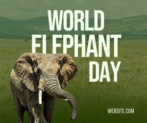 World Elephant Day Facebook post Image Preview