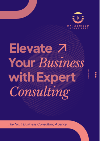 Expert Consulting Poster Image Preview