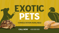 Exotic Vet Consultation Animation Design