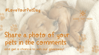 Love Your Pet Day Giveaway Animation Design