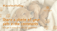 Love Your Pet Day Giveaway Animation Image Preview