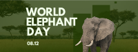 World Elephant Celebration Facebook Cover Design
