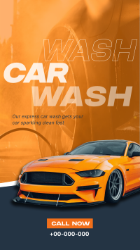 Professional Car Cleaning Facebook story Image Preview