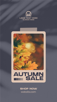 Picture Autumn Sale TikTok Video Design