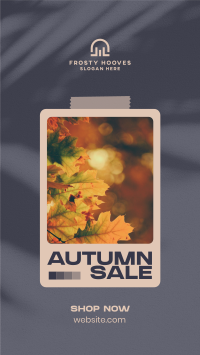 Picture Autumn Sale TikTok Video Image Preview