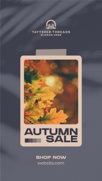 Picture Autumn Sale TikTok Video Image Preview