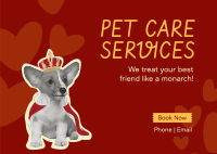 Pet Lounge Postcard Image Preview