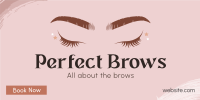 Perfect Beauty Brows Twitter Post Design
