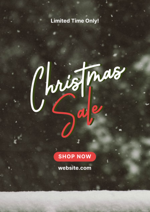 Christmas Sale Poster Image Preview
