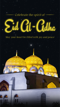Eid Al Adha Night TikTok video Image Preview