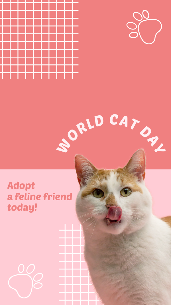 World Cat Day Adoption Facebook Story Design