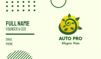 Organic Eco Farm Business Card Image Preview