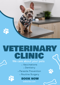 Professional Veterinarian Clinic Flyer Image Preview