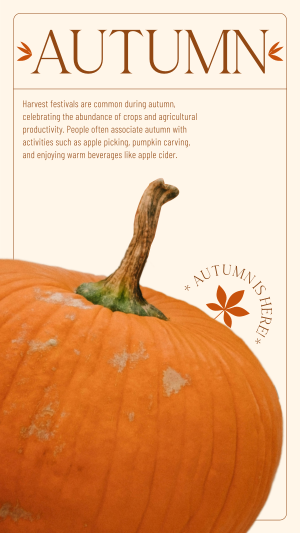 Autumn Pumpkin Facebook story Image Preview