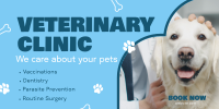 Professional Veterinarian Clinic Twitter post Image Preview