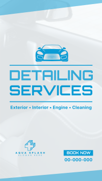 Car Detailing Services TikTok Video Image Preview