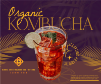 Organic Kombucha Facebook Post Design