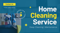 House Cleaning Experts Video Preview