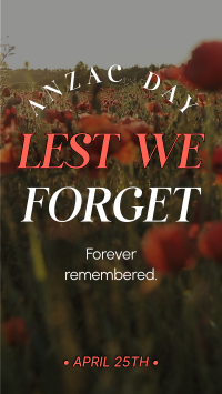 Red Poppy Lest We Forget Video Image Preview