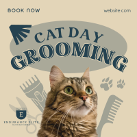 Cat Day Grooming Instagram post Image Preview