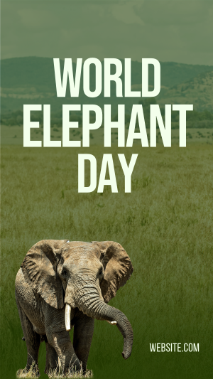 World Elephant Day Instagram story Image Preview