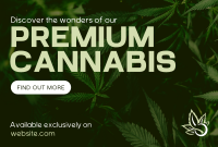 Premium Cannabis Pinterest Cover Design