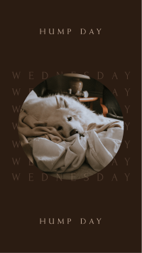Wednesday Hump Day Instagram Story Design
