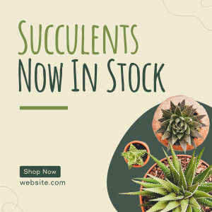 New Succulents Instagram post Image Preview