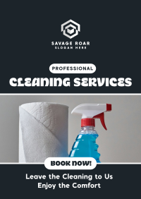 Cleaning Services Poster Image Preview