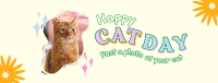 Furry Cat Is Here Facebook cover Image Preview