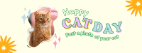 Furry Cat Is Here Facebook Cover Image Preview