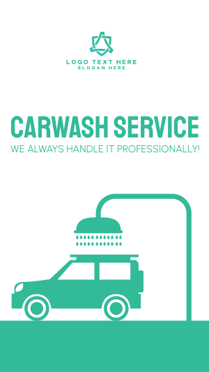 Professional Carwash Facebook story Image Preview