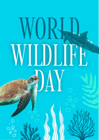 Aquatic Wildlife  Flyer Design