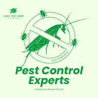 Pest Experts Instagram post Image Preview