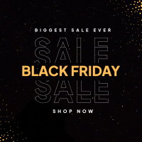 Black Friday Sale Instagram post Image Preview