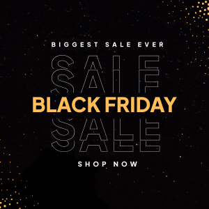 Black Friday Sale Instagram post Image Preview