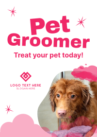Professional Pet Groomer Flyer Design