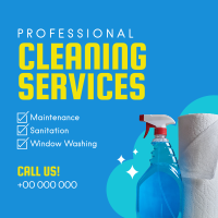 Professional Cleaning Services Instagram Post Preview